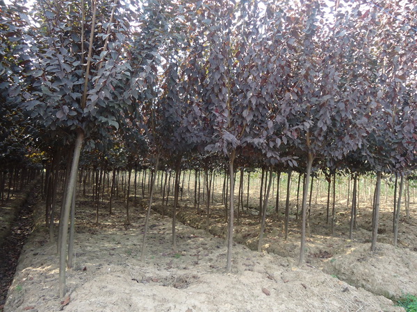 ????o¢??????????o¢??????? ?è????·? ?