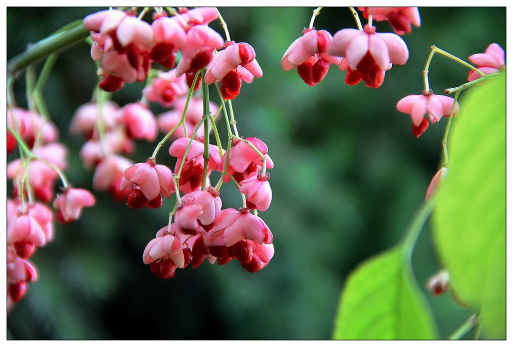 1634352899443134.jpg 1634352899443134.jpg