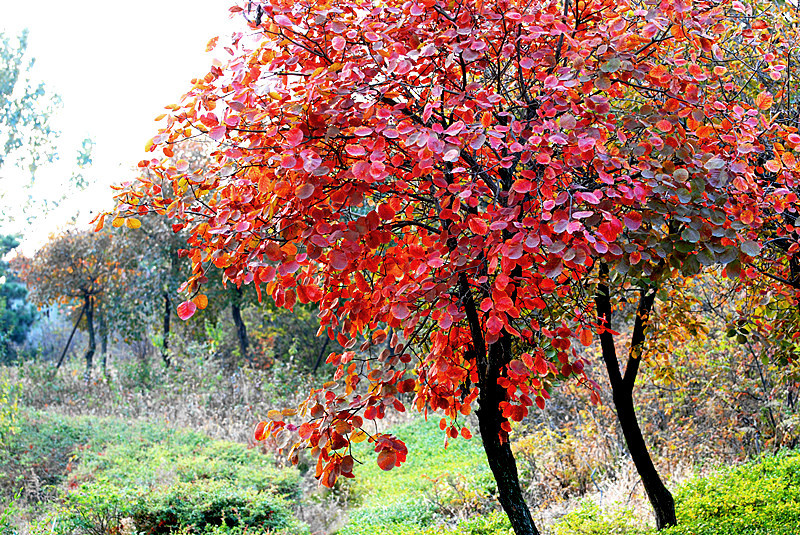 1634372270865073.jpg 1634372270865073.jpg