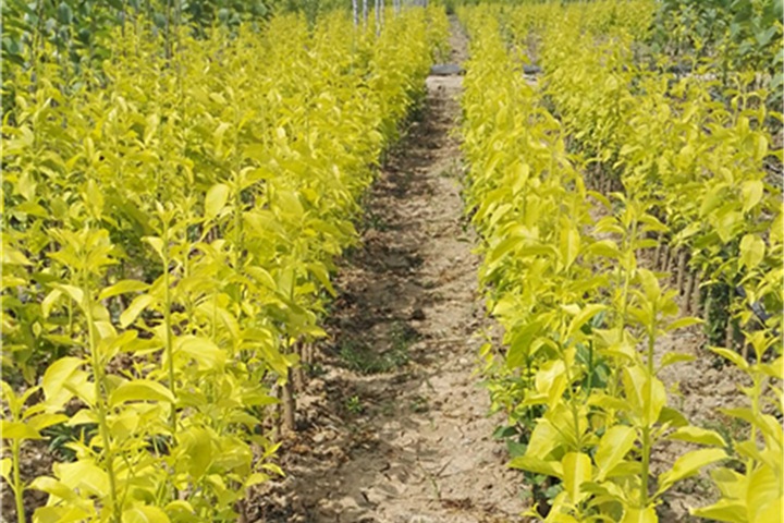 1686320572121471.jpg 6d834c513c252954171e8acebfc5b298_1686316129131959.jpg