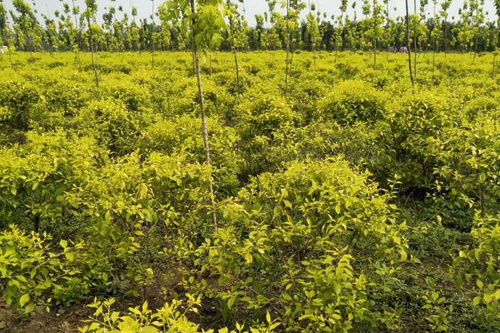 1686320660586152.jpg 49e6bf0093b4210eac30a4896ee784ee_1686316140723377.jpg