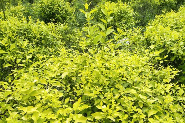 1686320853720228.jpg 4eaaa544d56e14041448d7c764a7de15_1686316122844239.jpg