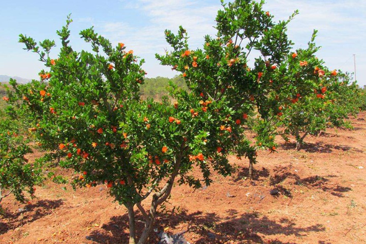 1686321342274204.jpg 563b68a1d8f1576db065a78c763a6320_1686321020627572.jpg