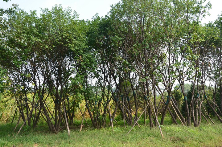 1686452666245352.jpg 5fbb22fd1d2298ceaf2224a598d6f8cb_1646896685719001.jpg