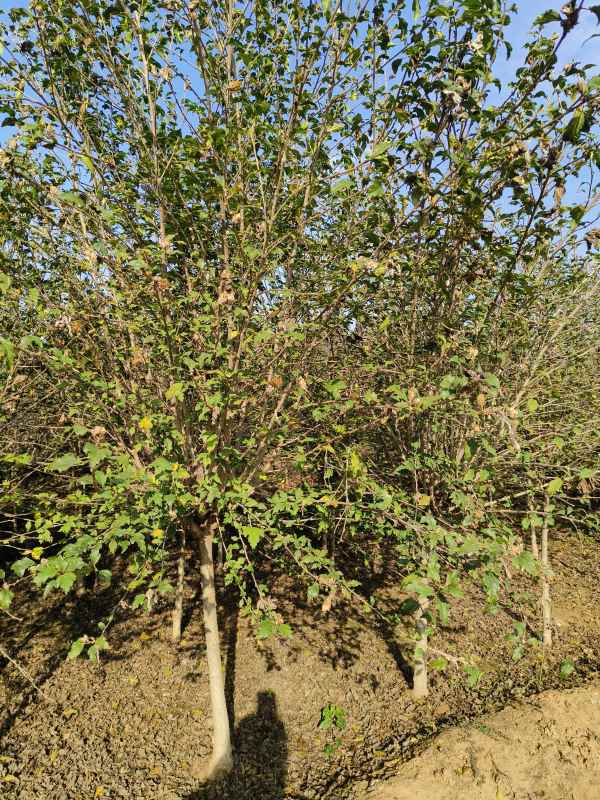 1733453875198582.jpg IMG_20230928_083656.jpg