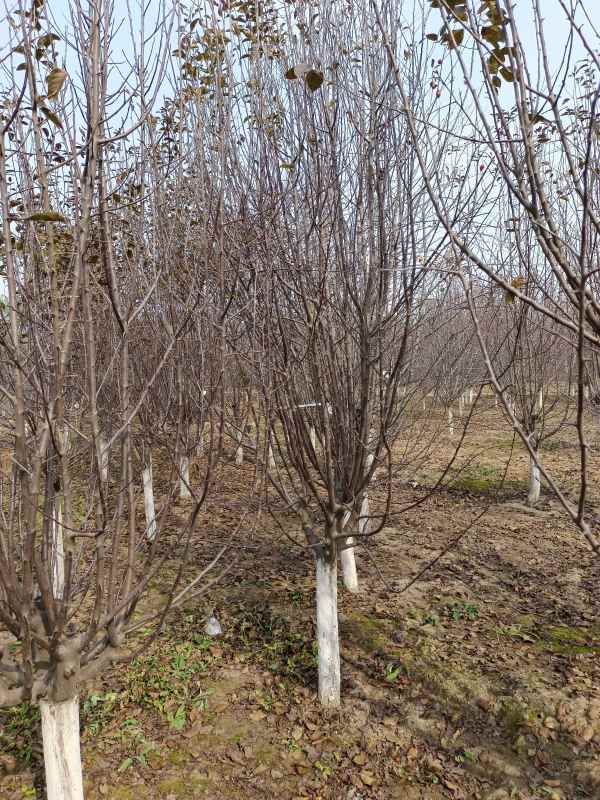 1734327667101958.jpg IMG_20211025_125647.jpg