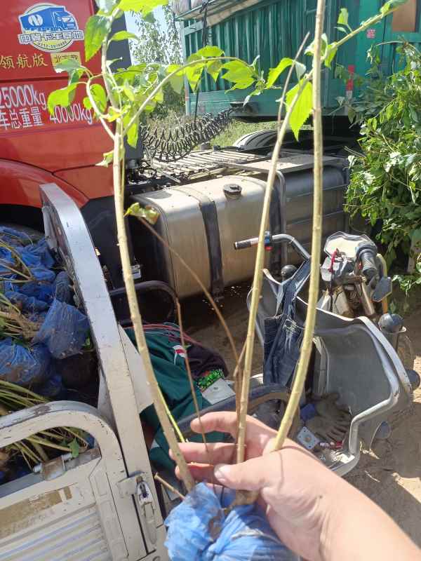 1734573771718214.jpg IMG_20220924_120500.jpg