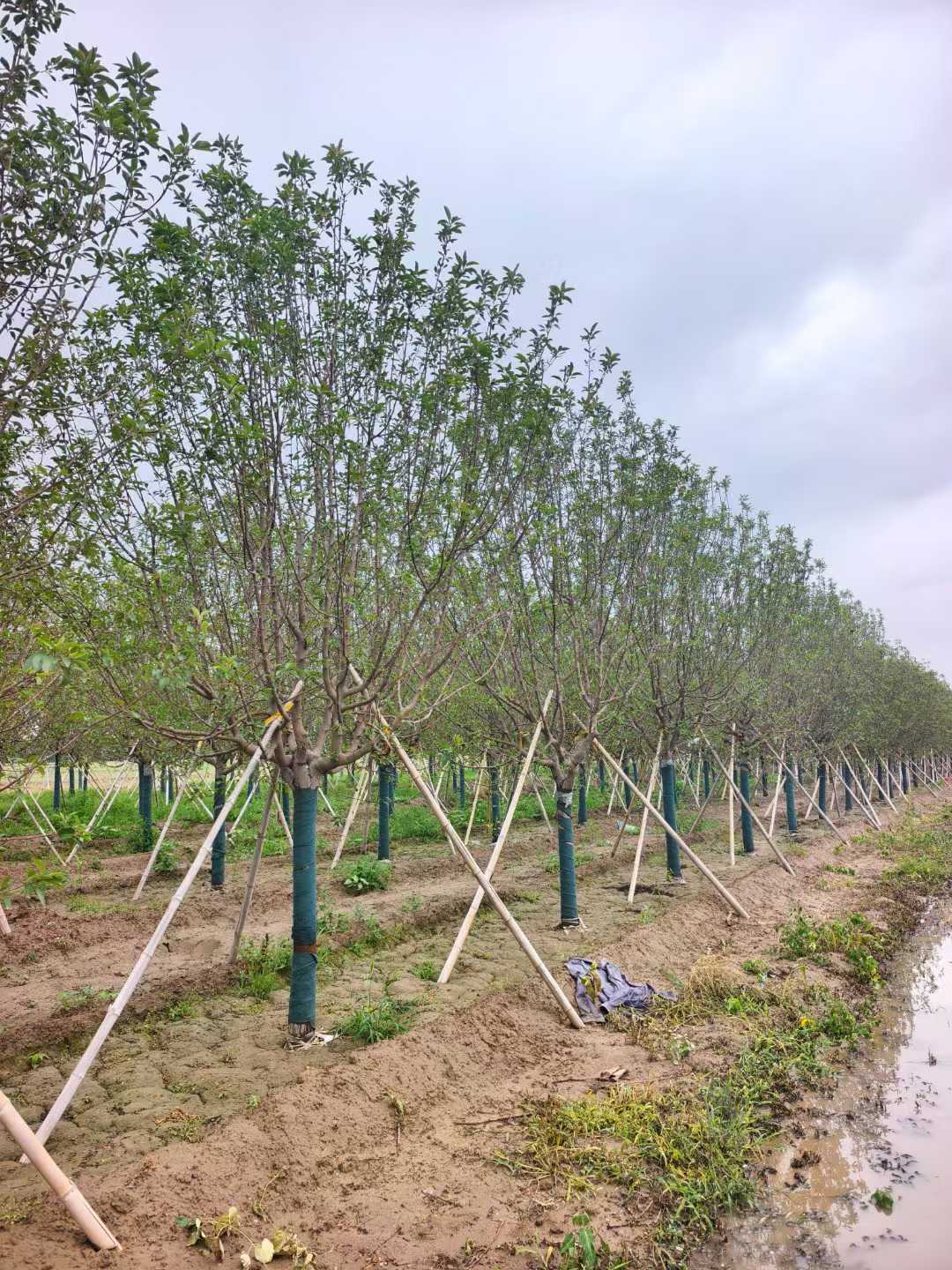 1752201140219422.jpg 1750402035413404.jpg