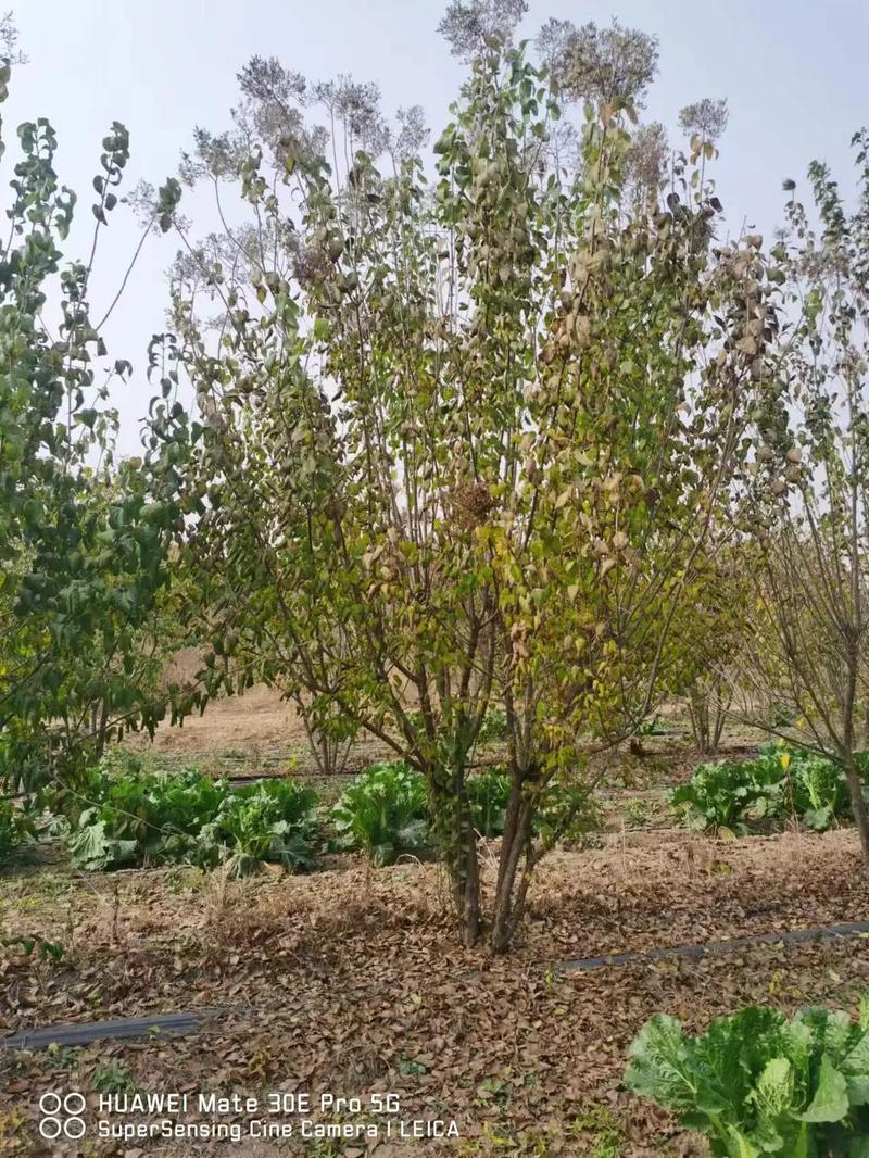 1757555047149709.jpeg 1750404667987390.jpeg